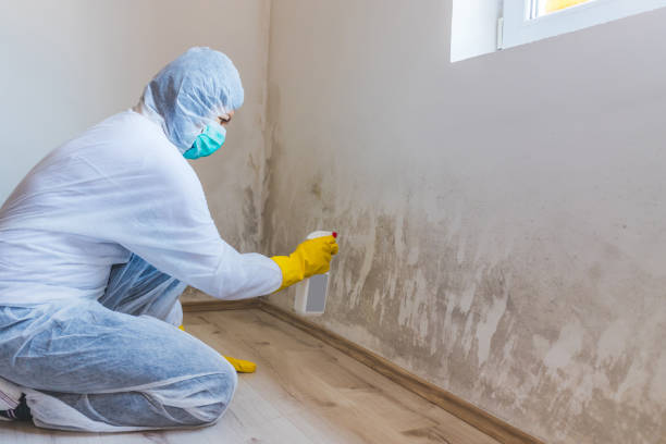 Commercial Mold Remediation assessment for commercial property in McClure